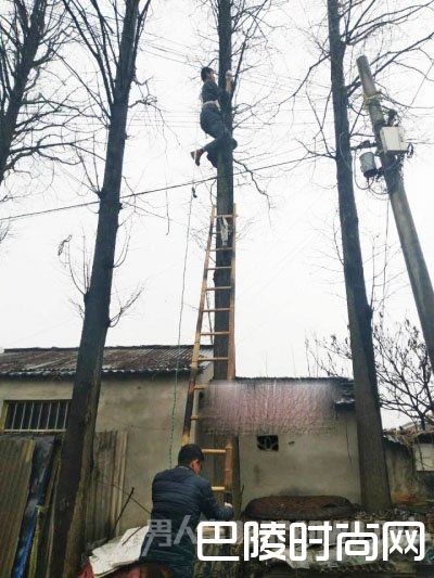 猫神传奇连夜赶来救猫