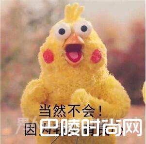 因为我没有良心