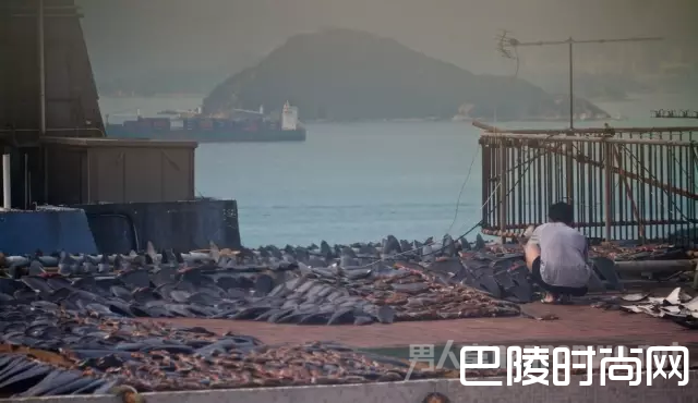 香港口岸上随意摆放着鱼翅