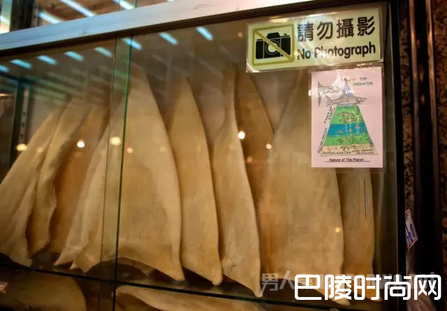 香港陈列鱼翅产品的货柜