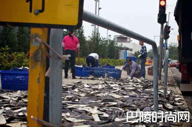 鱼翅被随意置在香港的街道上