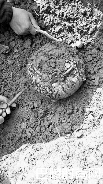 唐代文物 唐代文物