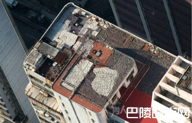 香港楼顶暴晒鱼翅 香港楼顶暴晒鱼翅