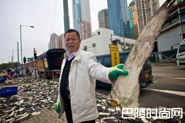 香港某处正在装卸鱼翅