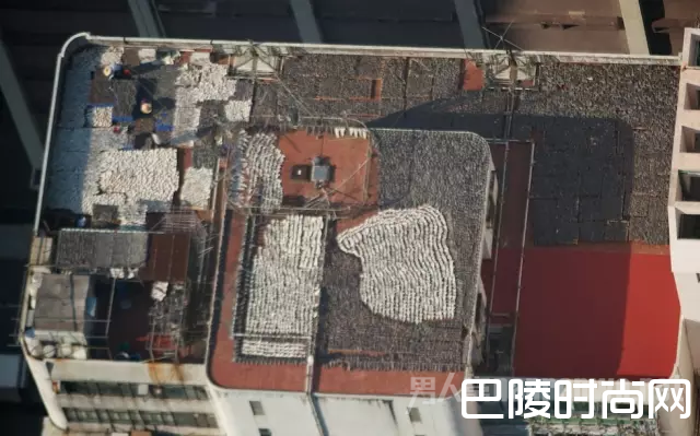 楼顶暴晒鱼翅 楼顶暴晒鱼翅