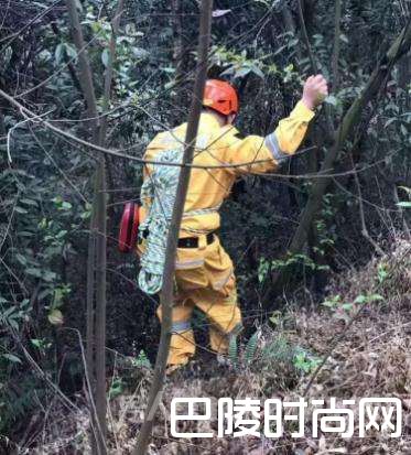 救援队搜救 救援队搜救