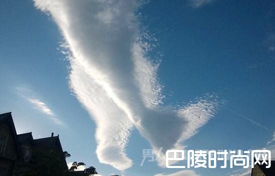 行走巨腿 行走巨腿