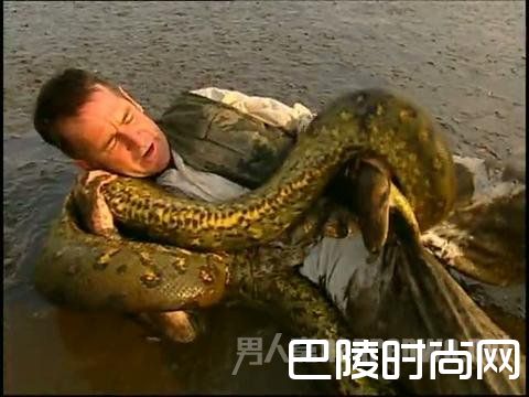 巨蟒食人 巨蟒食人