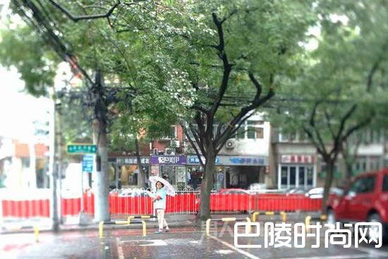 朝阳群众 朝阳群众