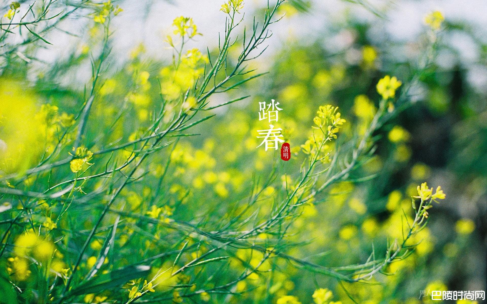 清明踏春 清明踏春