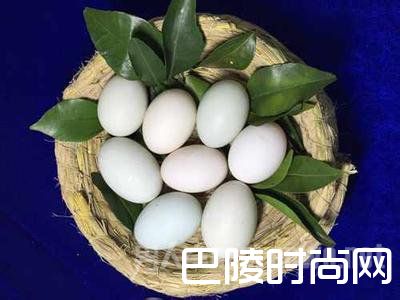 鸭蛋维生4天 鸭蛋维生4天