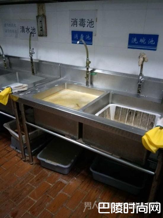 洗碗的篮子里有蟑螂 洗碗的篮子里有蟑螂