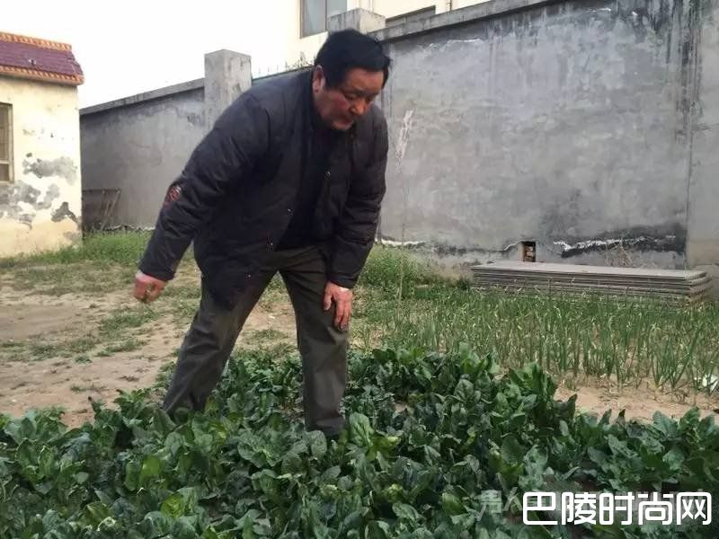 杨全鸿在打理诊所院子里的菜园 杨全鸿在打理诊所院子里的菜园