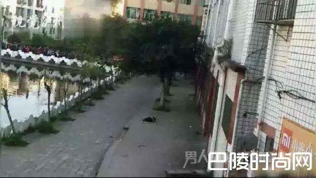 泸县太伏中学生死亡事件 泸县太伏中学生死亡事件