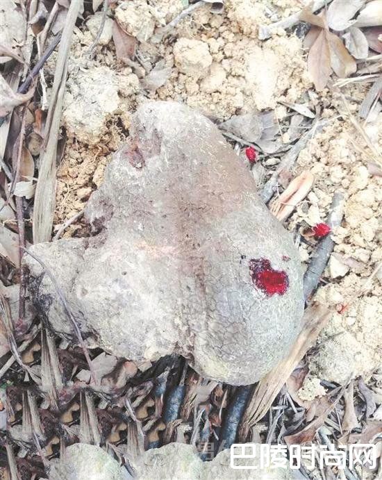 流血的石头 流血的石头