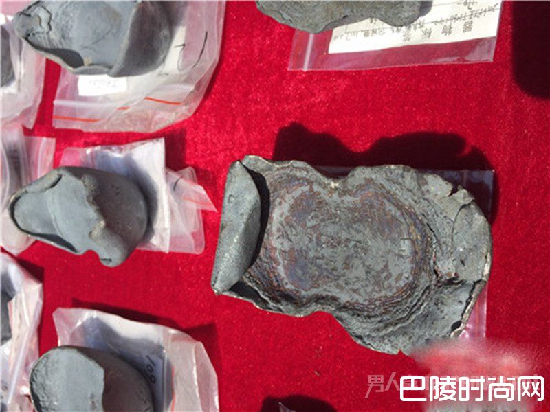 发掘成果通报会现场