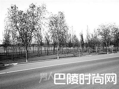 大广高速白洋淀引线匝道的案发处