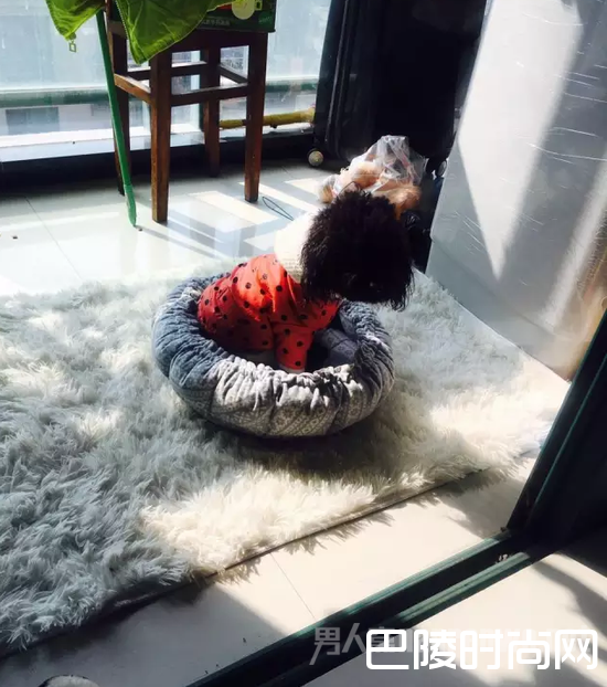 90后海归出租半张床