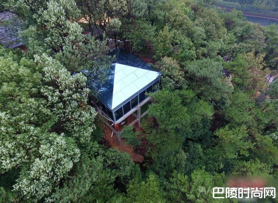 透明厕所 透明厕所