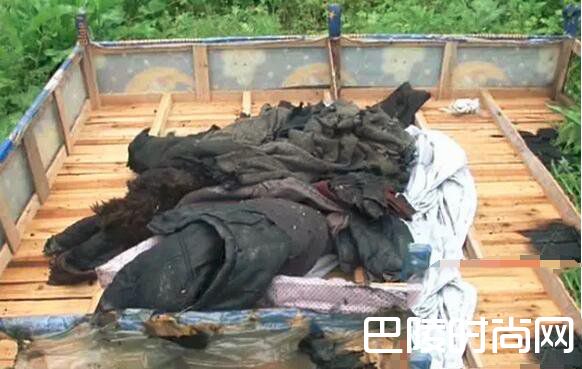 烧焦的尸体 烧焦的尸体