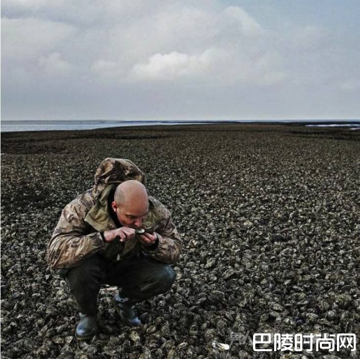 丹麦生蚝泛滥成灾