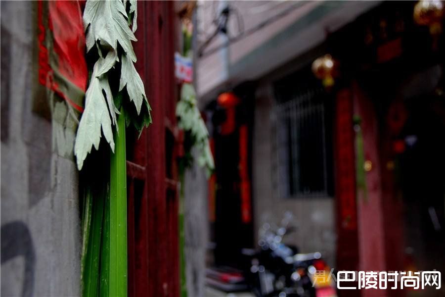 端午节的习俗插艾