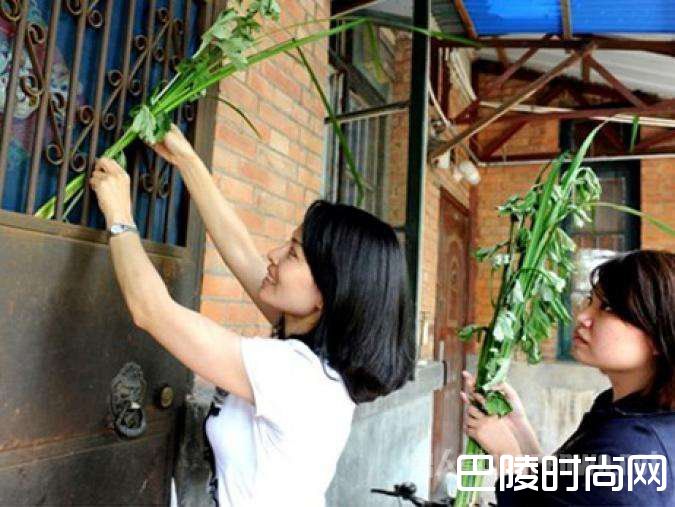 端午节的习俗插艾