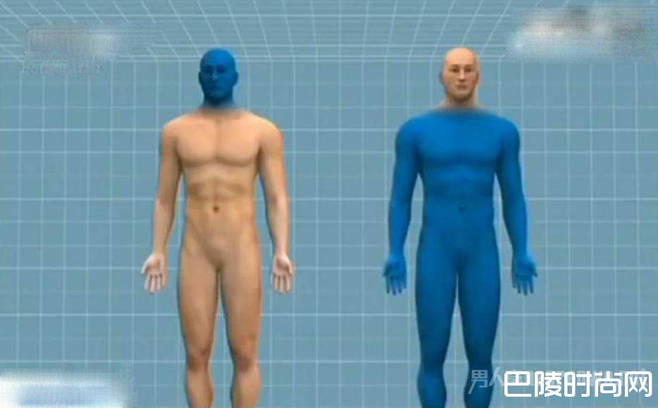 动画演示 动画演示