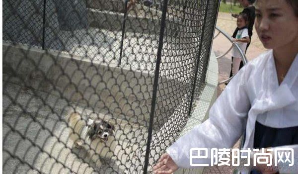 朝鲜动物园狗屋