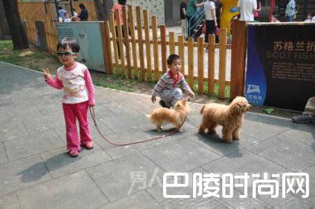 游客动物园看泰迪