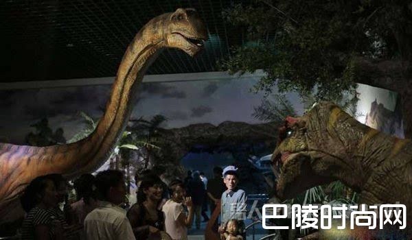 朝鲜动物园 朝鲜动物园