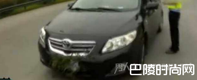 女司机用草遮挡车牌