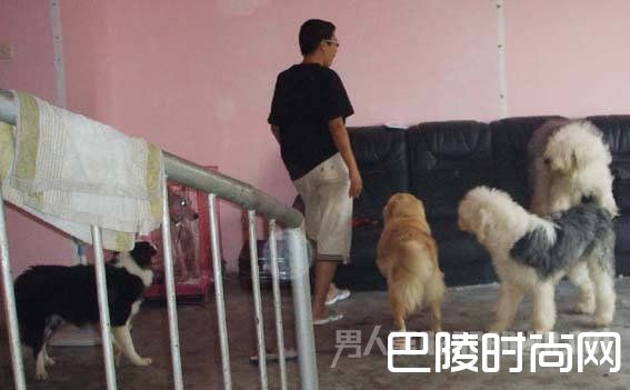 救助百余流浪狗