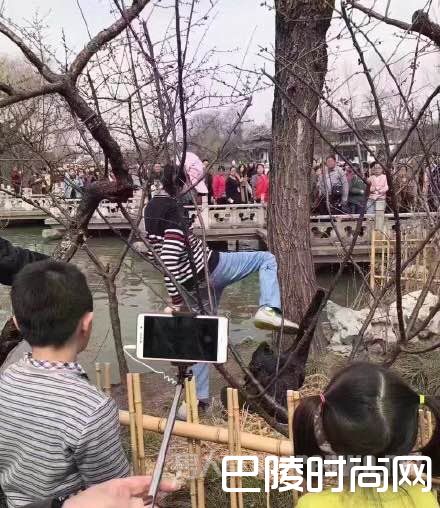 男子景区踩天鹅蛋