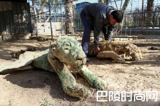 全球最惨动物园