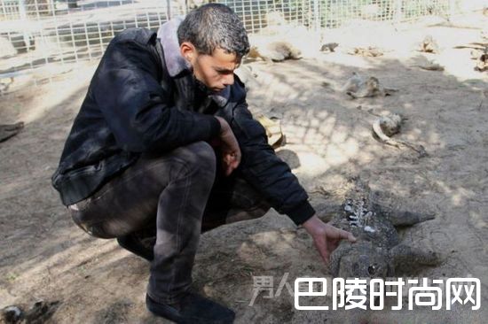 全球最惨动物园