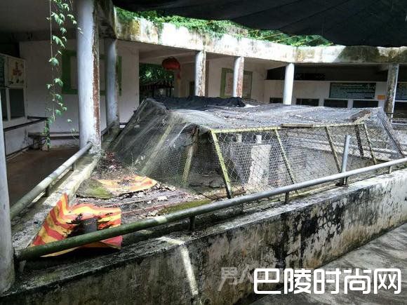 养龟池上方的铁丝网绣迹斑斑