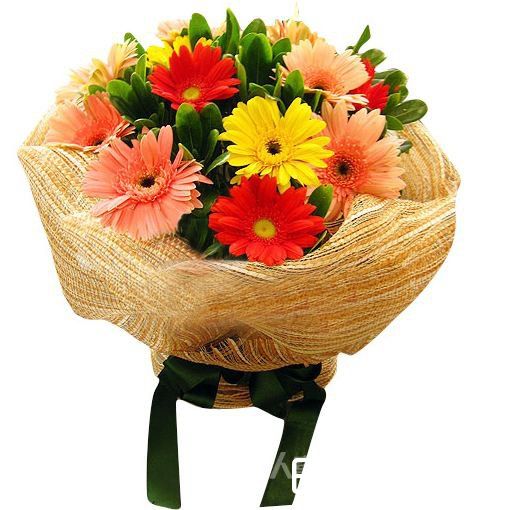 各色太阳花，绿叶适量