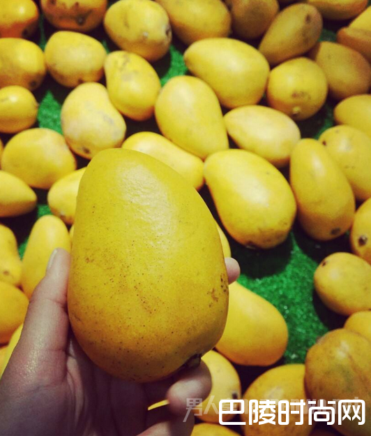 购买芒果 购买芒果