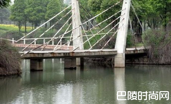 丈夫指使同伙杀妻骗保