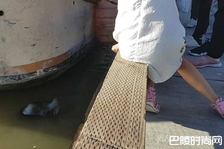 女孩坐在栏杆旁