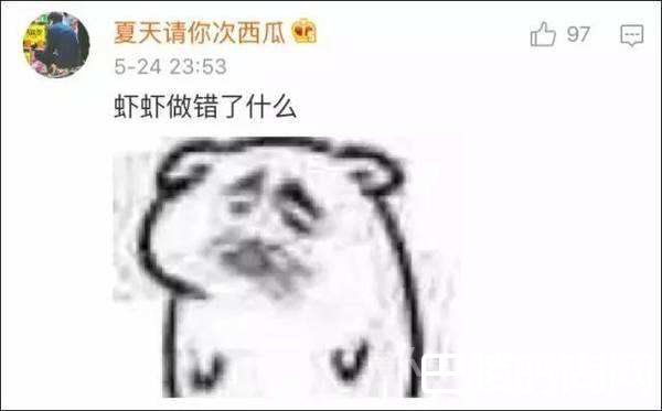 虾虾到底做错了什么 虾虾到底做错了什么