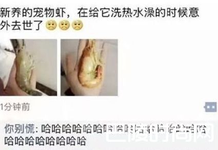 给虾洗热水澡 给虾洗热水澡