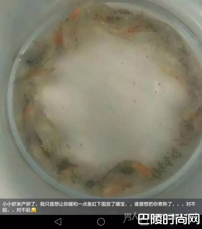 怕虾冷垫上暖宝宝 怕虾冷垫上暖宝宝