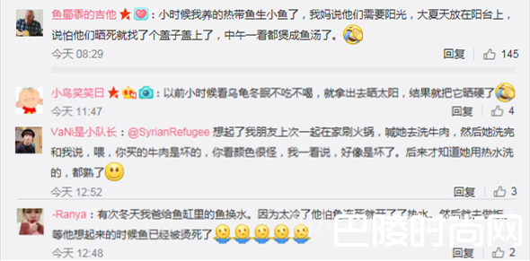 网友评论 网友评论