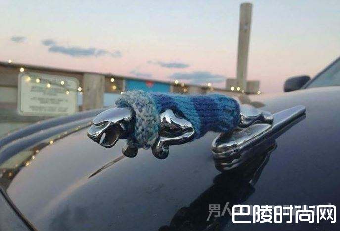 捷豹车标穿毛衣