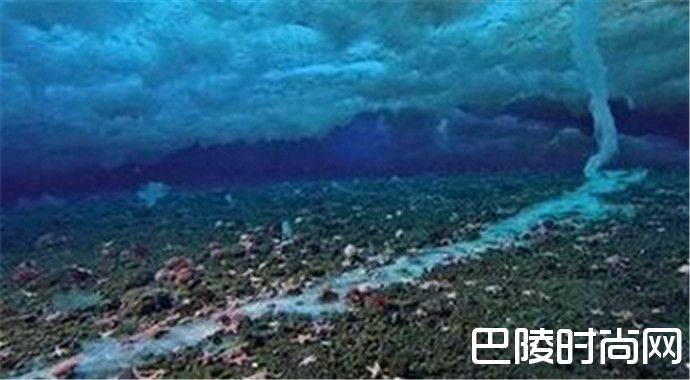 最早生命记录刷新