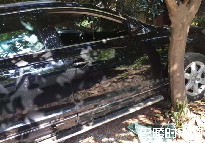 男子砸车偷钱后悔