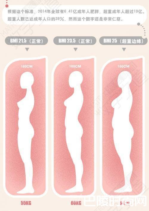 肥胖标准 肥胖标准