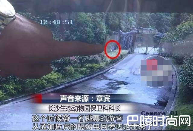 监控录像 监控录像